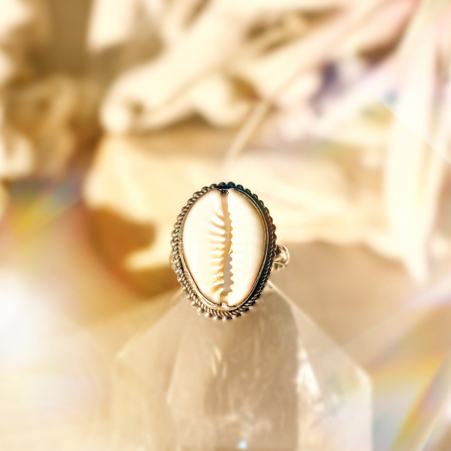 Island Cowrie Shell ring